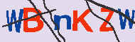 キャプチャ(CAPTCHA)認証コード